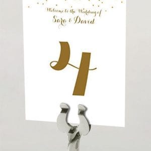 Golden Rain - Celebration Table Name Card