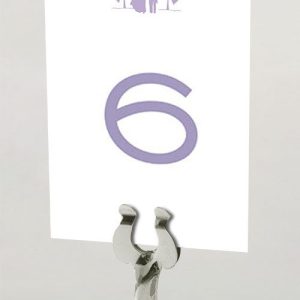 Mauve Chuppa - Celebration Table Name Card